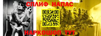 мдпв Партизанск
