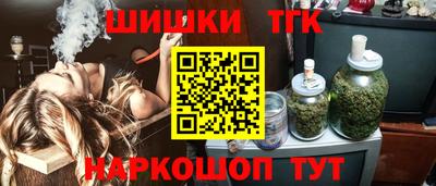 мдпв Партизанск