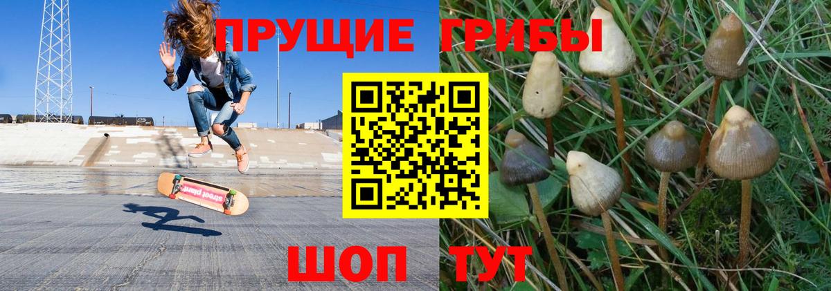 Галлюциногенные грибы GOLDEN TEACHER Обь
